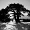 Tana Libera Tutti 2 Nature, Yourself, Love