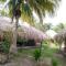 Eco Hotel Las Palmeras - Isla Grande