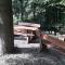 Simnovi apartmaji - surrounded by nature - Kamnik