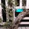 Palazzo Conforti Tree House Resort Palazzo Conforti Tree House Resort