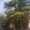 Levant, cosy and modern apartment in Novalja center