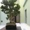 Aqua Ria Boutique Hotel