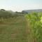 Domaine de Sévanes photo 23