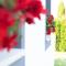 AllOne apartman