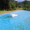 Pool, Pokale, Sauna, Billard, Kirche u. viel Natur