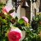 Rose cottage - Pontrieux