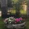 Le Palland photo 20