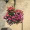 Le Palland photo 23