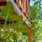 Sigiriya Free View Tree House & Villa - 锡吉里亚