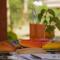 Sigiriya Free View Tree House & Villa - 锡吉里亚