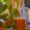 Sigiriya Free View Tree House & Villa - 锡吉里亚