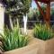Studio Panagiota - Oasis holiday houses