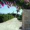 Studio Ioanna - Oasis holiday houses
