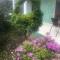 Zelenyy Dvor - Picunda