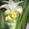 ON Keppies - BnB - Family Farm & Wedding Guest Accommodation Paterson NSW