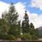 Chalet Speciale - Celerina