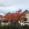 Bella Vista Motel Mosgiel