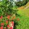 Green Peace Sungai Lembing