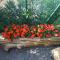 B&B Partenza Funivia B&B Partenza Funivia