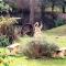 Countryside Retreat romantic tranquil native wildlife township Hepburn - Daylesford