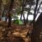 THE SEA CAVE CAMPING