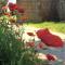 B&b Villa Sofia