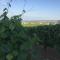 Weingut Krikler