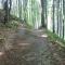 Relaxing Cottage Donacka Gora