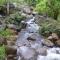 Stream Garden Mountain Resort