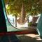 Mufasa Eco Lodge