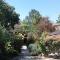 Oleander Stone House