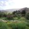 Lantana Stone House