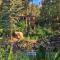 Pine Haven Resort - استيس بارك