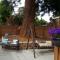 Redwood Place in Heart of Silicon Valley - 森尼维耳市