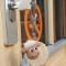 Pension Camping Schausten