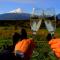 Foto: Cabaña Lumihue en La Ensenada/Puerto Varas