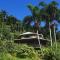 Foto: A Daintree Garden 22/33