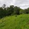 Fazenda Kosiv