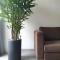 Lems Apartment & Coffee