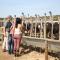 De Opstal Country Lodge