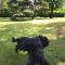 Bed & Breakfast OttoQuadri