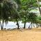 Sea Star Resort