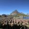 Ramberg Lodge Lofoten
