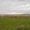 Conway's Cottage with Sea View Nestling by Cliffs-of-Moher - Liscannor