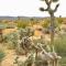 Desert Oasis - Joshua tree peaceful retreat Home - Yucca Valley