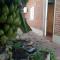 El patio de marta