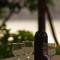 Large and charming apartment near beach with big & sunny terrace