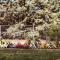 Sedona Red Rock Garden of Paradise Pets friendly and Hot tub