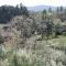 Casa Rural Los Robles