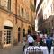 THE BLUE LODGE-cozy flat close to Piazza del Campo